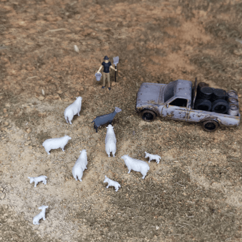 1-64 scale Sheep herd for diorama