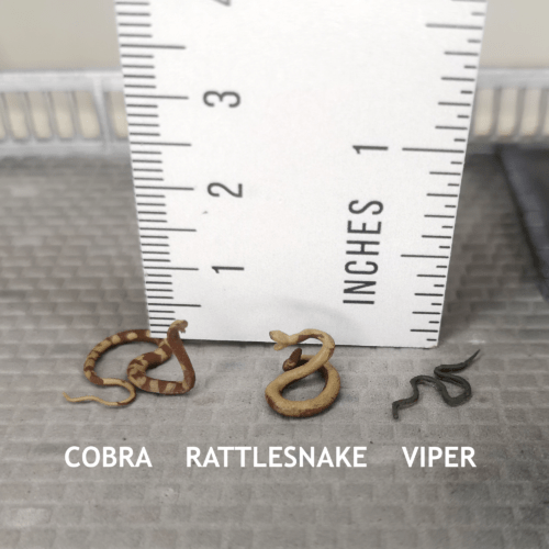 Cobra Rattlesnake Viper