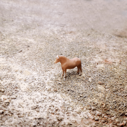 1-64 scale american pony for diorama