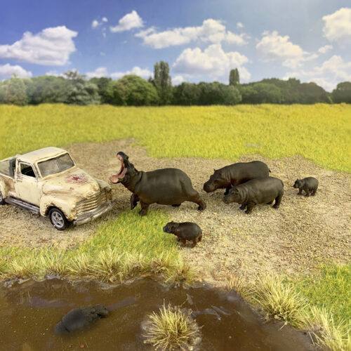 1-64 scale herd of hippos