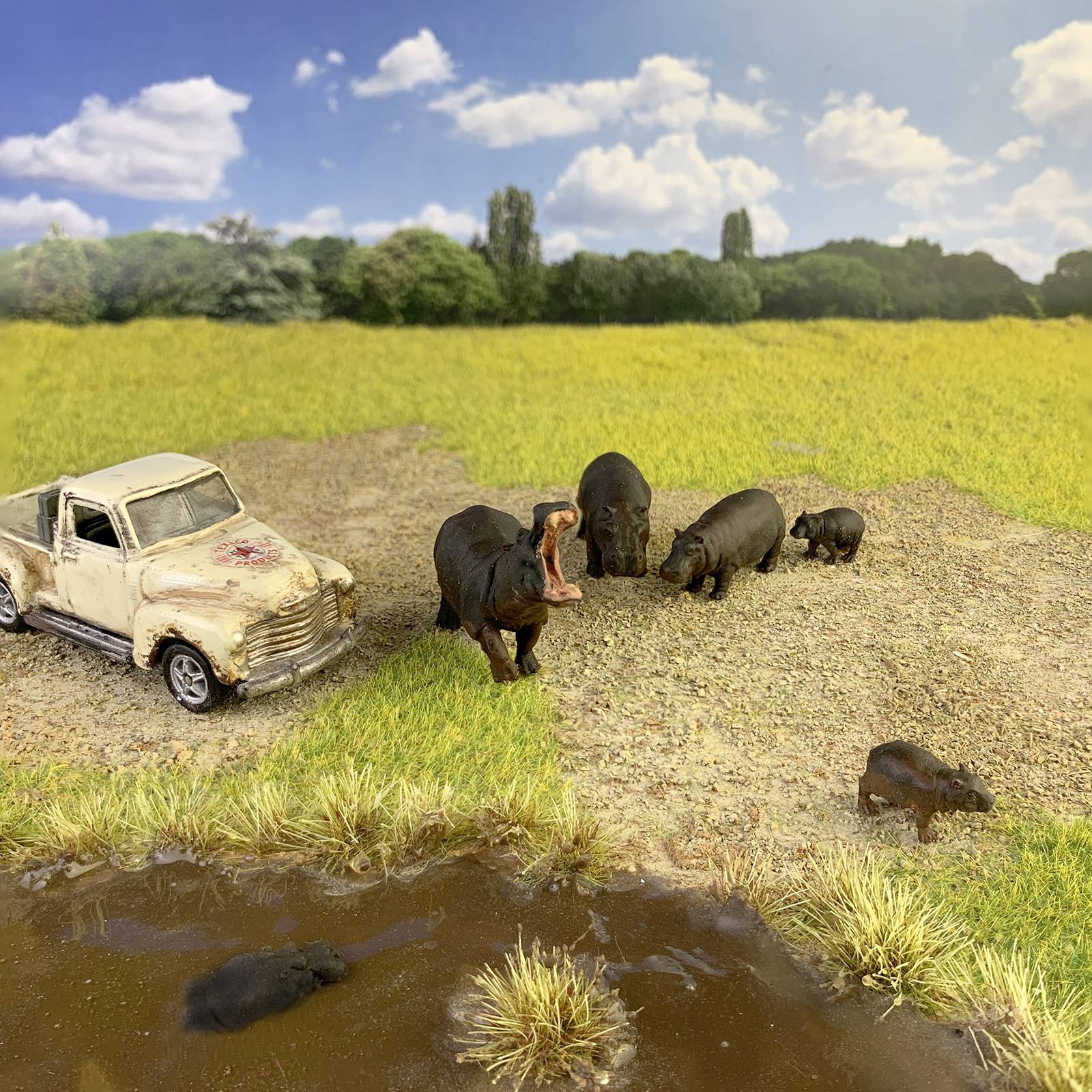 1-64 scale herd of hippos for diorama